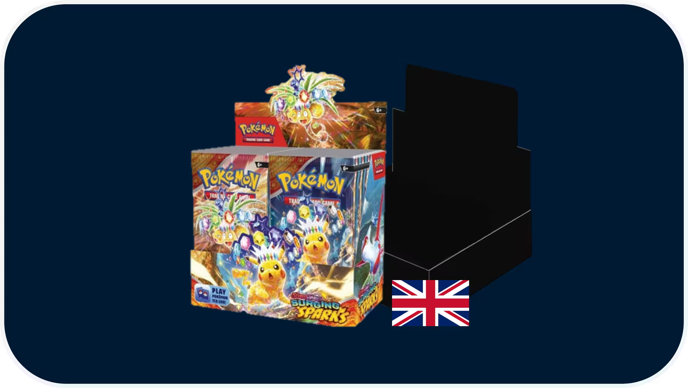 Pokémon Display EN