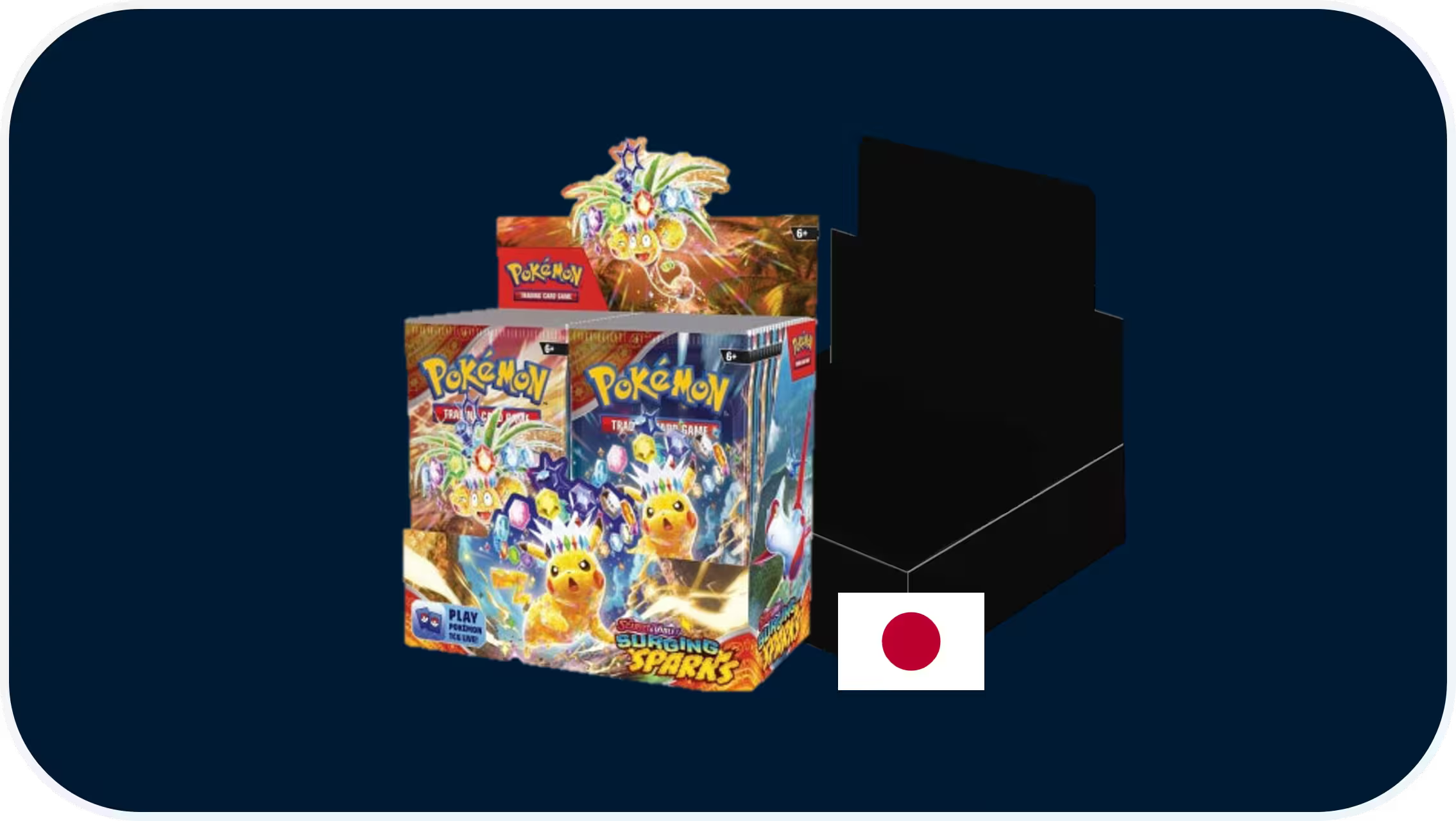 Pokémon Display JP